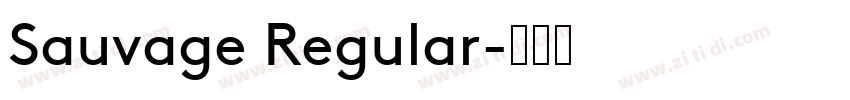 Sauvage Regular字体转换